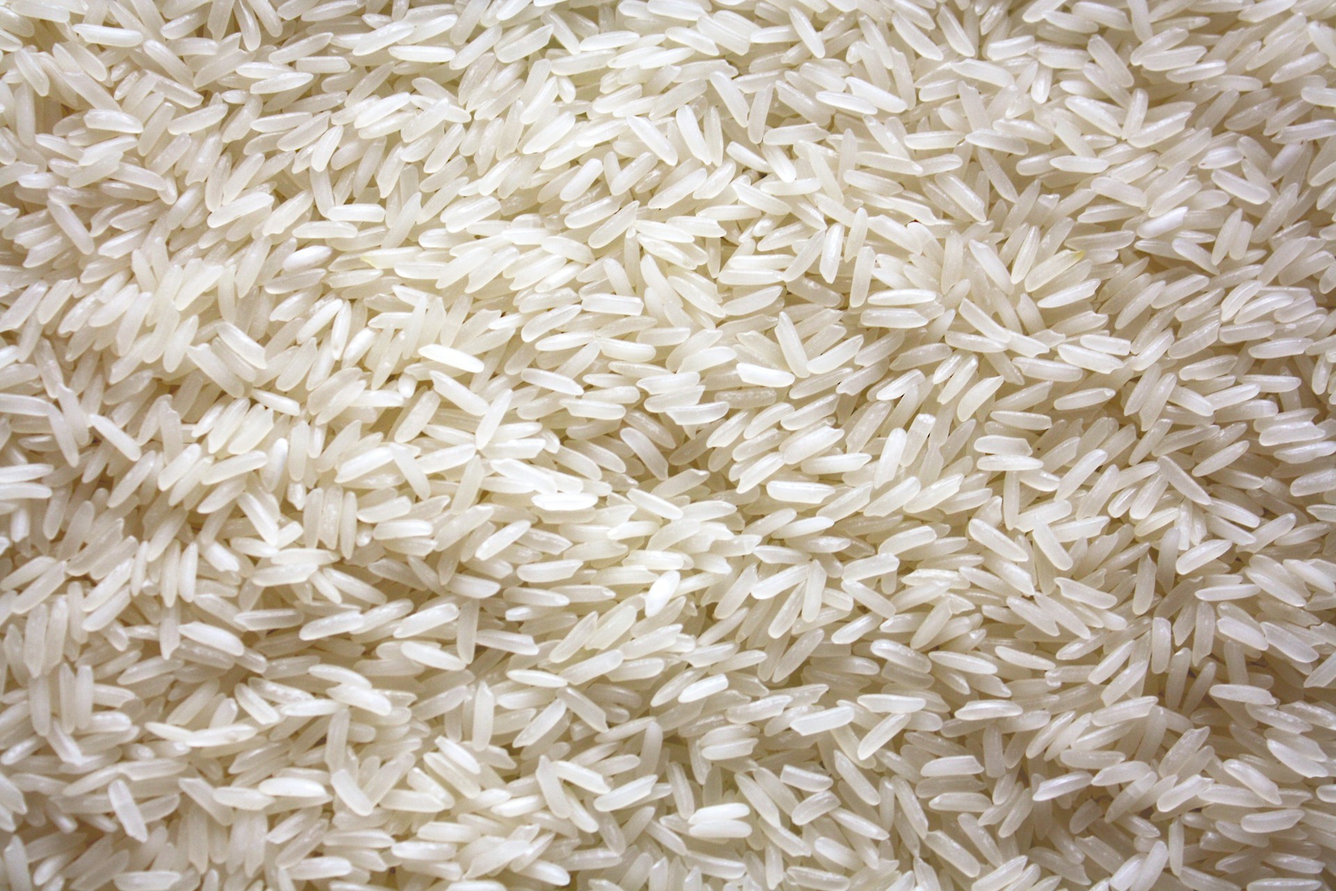 Costco Canada’s Best-Kept Secrets: 12 Bulk Buys That Last All Winter